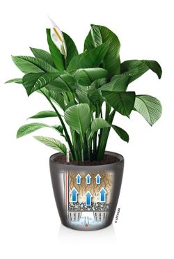 Vaso auto-irrigável Lehuza Classico Premium 28,5 x 26 cm