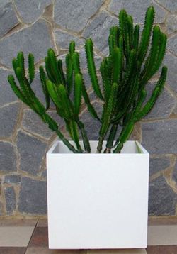 Macetero Cubo de gran dimension 70x70