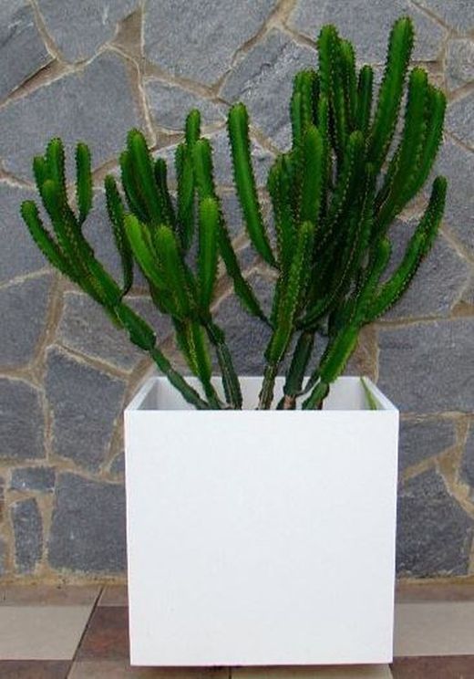 Plantador de cubo de concreto 35x35x35