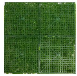 Manto Flores Buganvilla Artificial 100x100cm JardiÃ‚Â­nes Artificiales