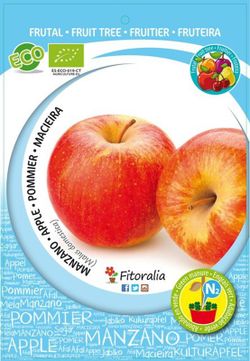 Manzano Árbol Frutal Ecológico