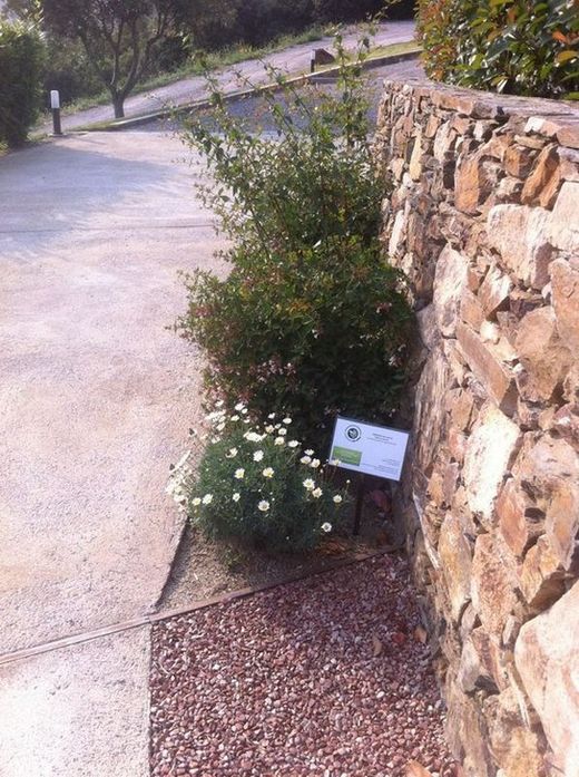 Marmolina Roja en Big Bag 10/18 500kgs