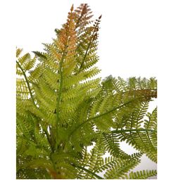 FELCE ARTIFICIALE 40CM