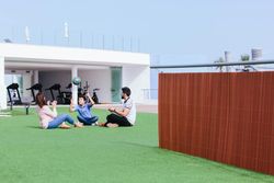 Mimbre ecológico LOP elegancia natural y sostenibilidad para tu jardín