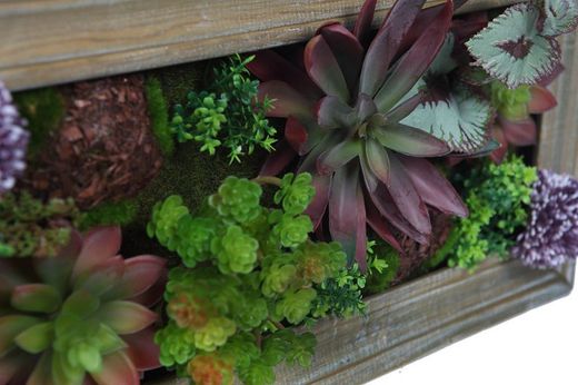Mini cuadro Jardin vertical