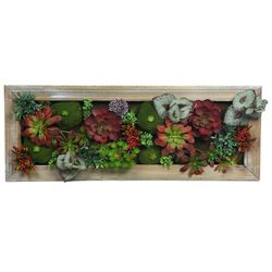 Mini jardin enmarcado para pared