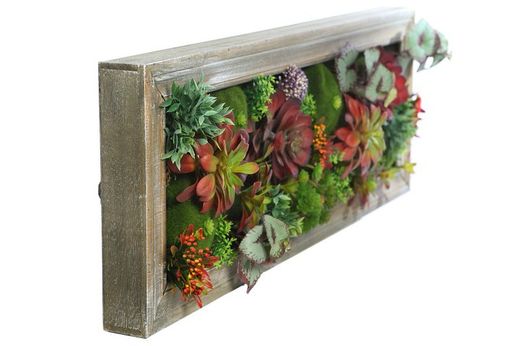 Mini jardin enmarcado para pared