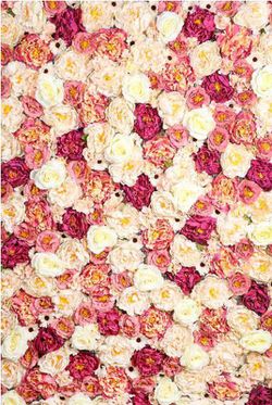 Muro di fiori giardini artificiali. Altezza personalizzata