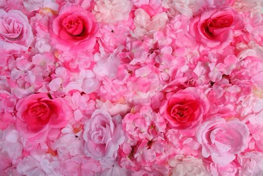 Muro di rose e ortensie 60x40cm