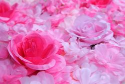 Muro di rose e ortensie 60x40cm