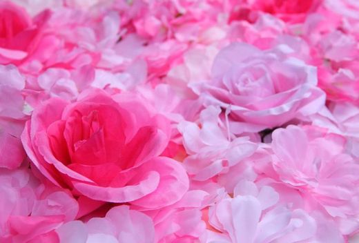 Muro di rose e ortensie 60x40cm