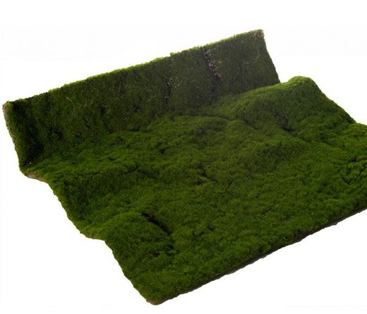 Complements for artificial plant