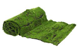 Musgo Artificial 200x50cm