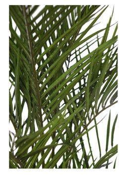 ARTIFICIAL PALM TREE 190CM