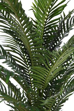 Décoratif Palmon Phoenix 1.90m