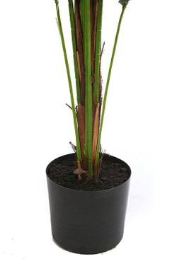 Décoratif Palmon Phoenix 1.90m