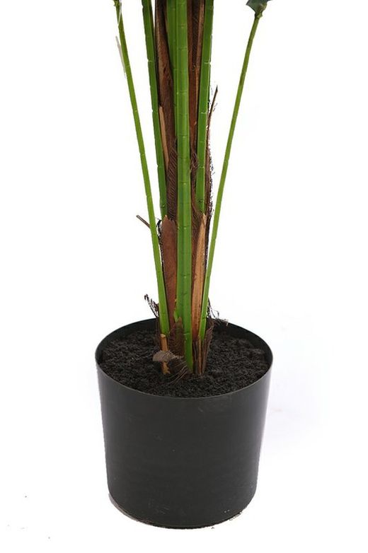 Décoratif Palmon Phoenix 1.90m