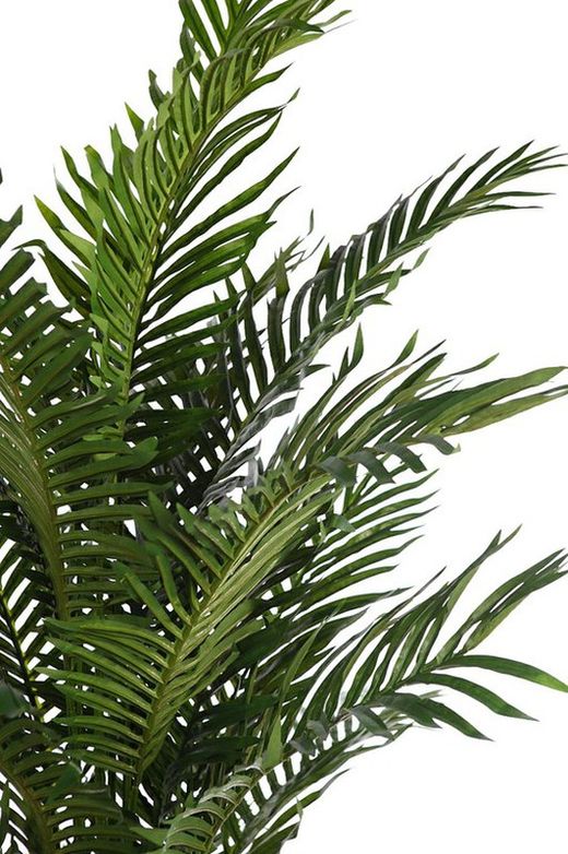 Décoratif Palmon Phoenix 1.90m