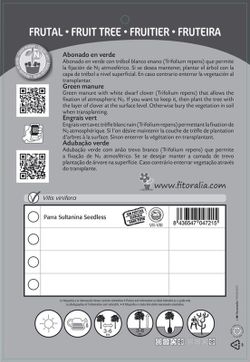 Parra sultanina seedless - Vitis vinifera - M 25