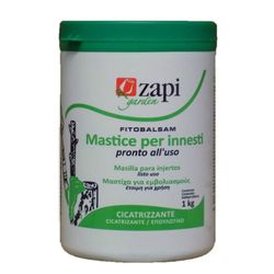Pruning or healing paste