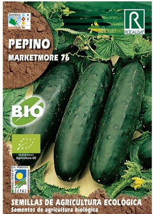 Pepino marketmore ECOLÓGICO