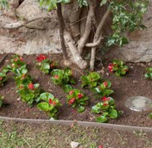 Perfil de jardim em madeira compósita