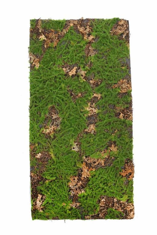 Leaves and artificial grass plate