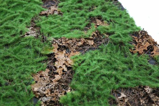 Leaves and artificial grass plate