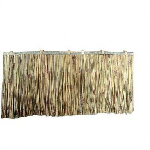 Placa junco africano