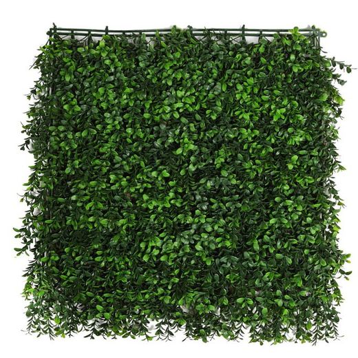 Placa Rama Boj 50x50cm-