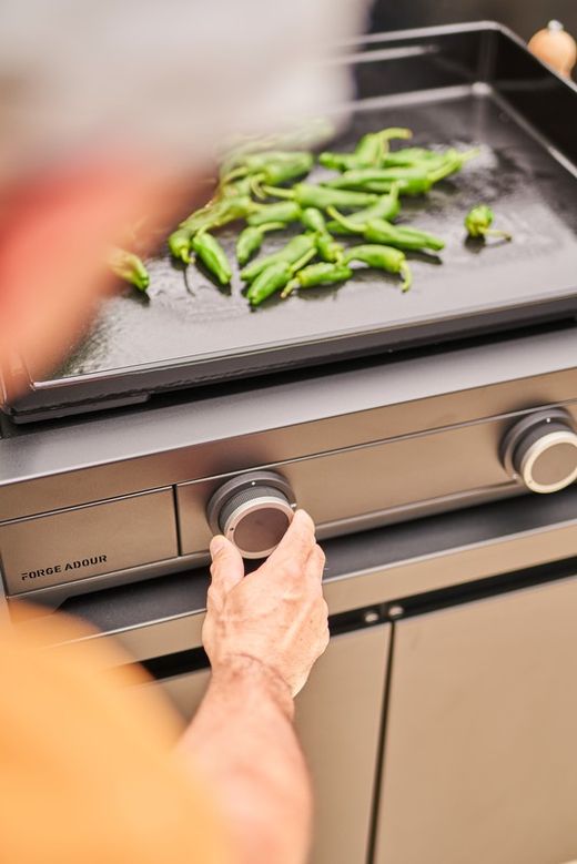 Modern gas griddle
