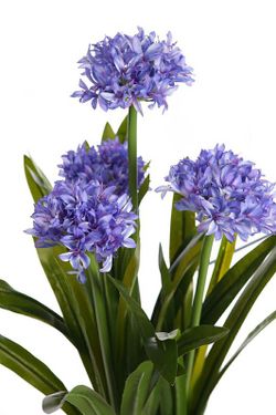 Pianta artificiale Allium
