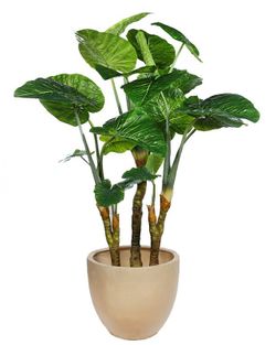 Plante artificielle Colocasia 135 cm