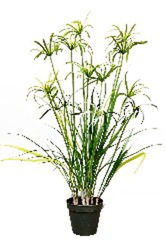 Papyrus knstliche Pflanze 66572