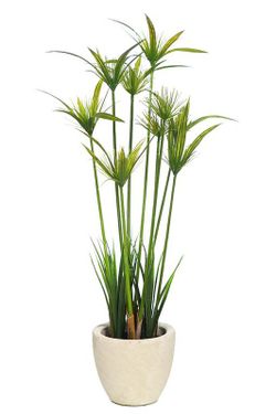 Papyrus plante artificielle