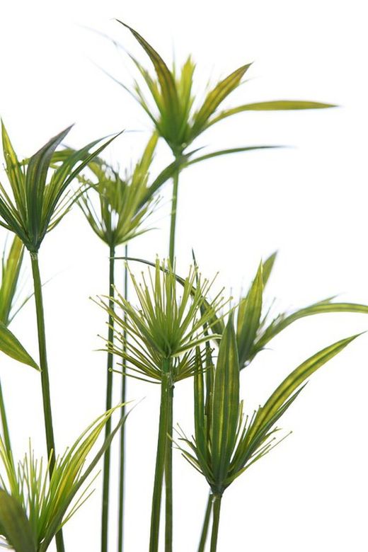 Papyrus plante artificielle