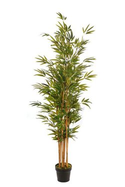 Plante de bambou artificiel