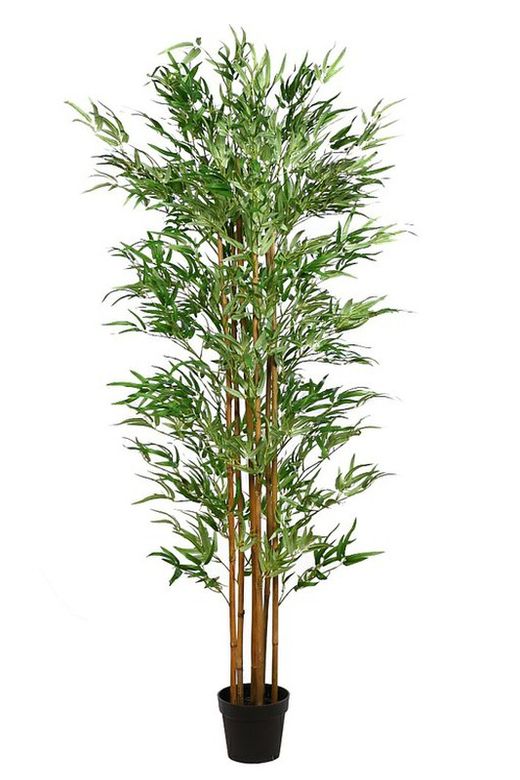 Plante bambou artificelle