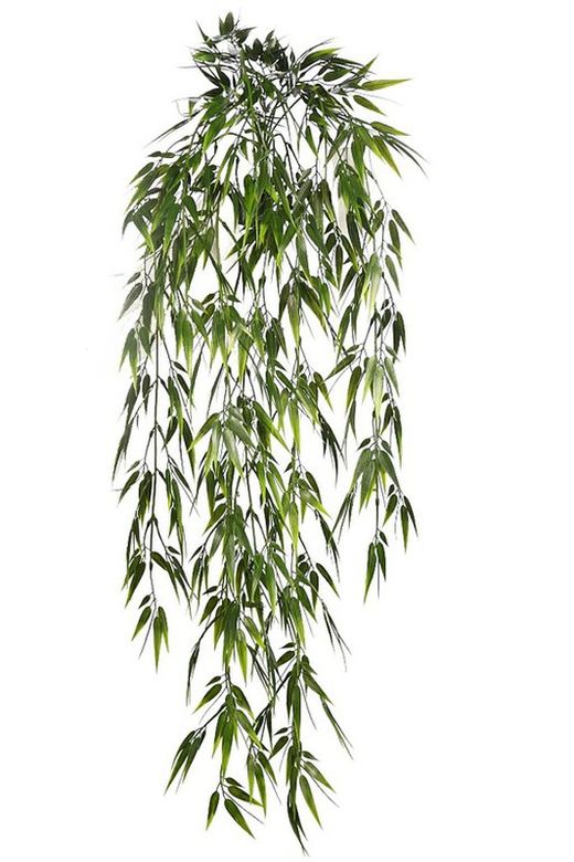 Hanging Bamboo Plant