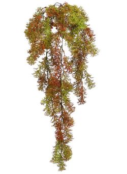 PLANTA COLGANTE PLÁSTICO 70 CM