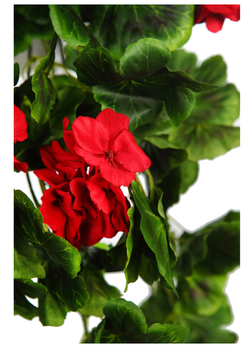 PLANTA GERANIO COLGANTE ARTIFICIAL 70CM