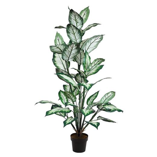 Plante verte artificielle Diefenbachia