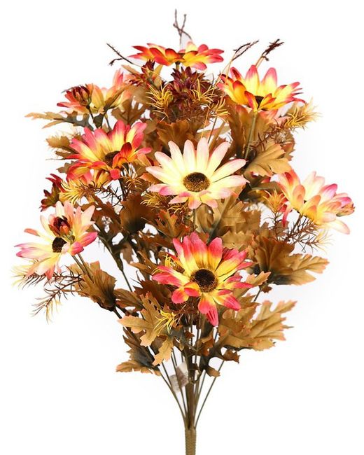 Ramo margarita crinke