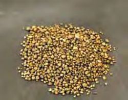 Repelente para jardins e prados