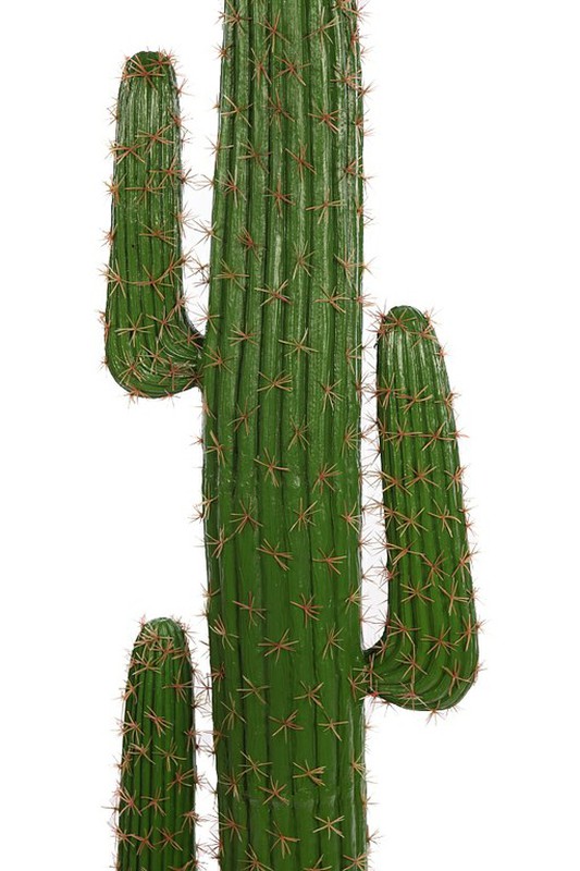 Saguaro Cactus 1.78 — jardineriadelvalles