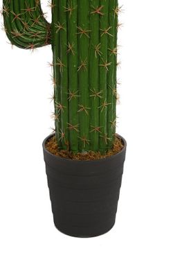 Cacto Saguaro 1,78