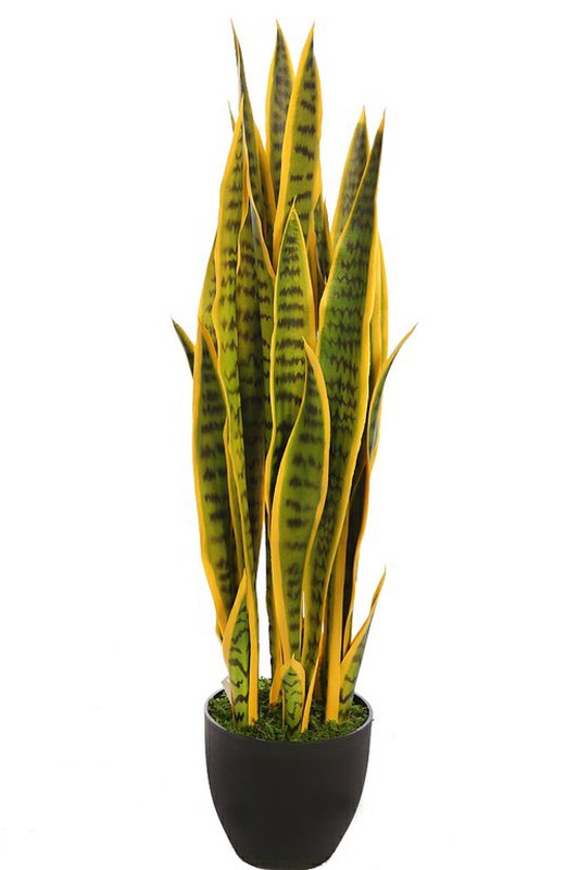 Planta Sansiberia artificial tacto natural, 1 metro de altura