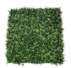 Seto Decorativo Thuya Medidas 1mx1m