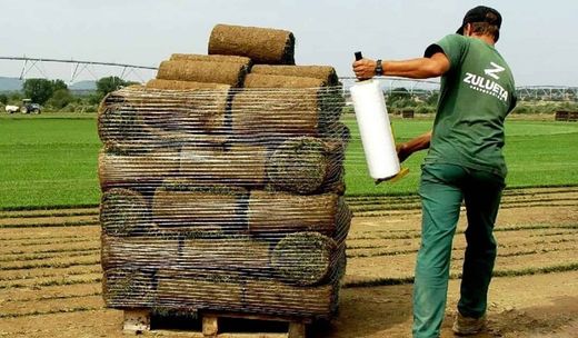 Tepe de césped decorativo-ornamental