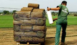 Tepe ornamental y resistente-52m2